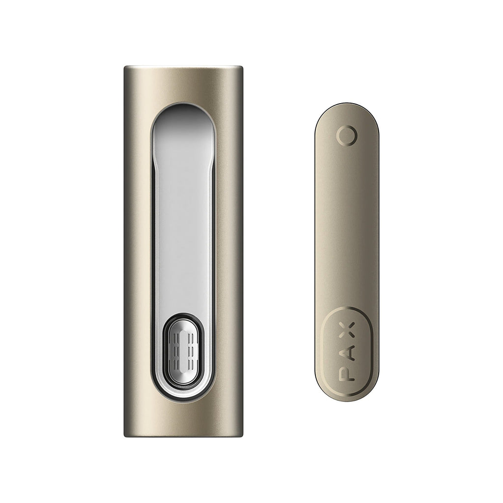 PAX FLOW Champagne Mist, Gerät mit abgenommener Ofentür