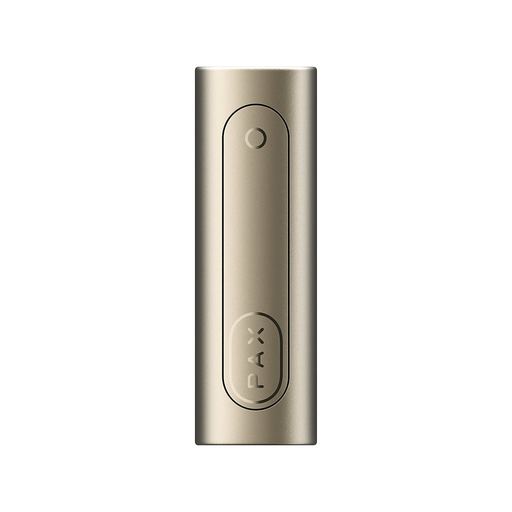 PAX FLOW Champagne Mist, Ansicht der geschlossenen Ofentür
